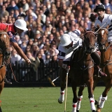 Polo, Commercial Wedding Photographers: Photoscience.co.uk